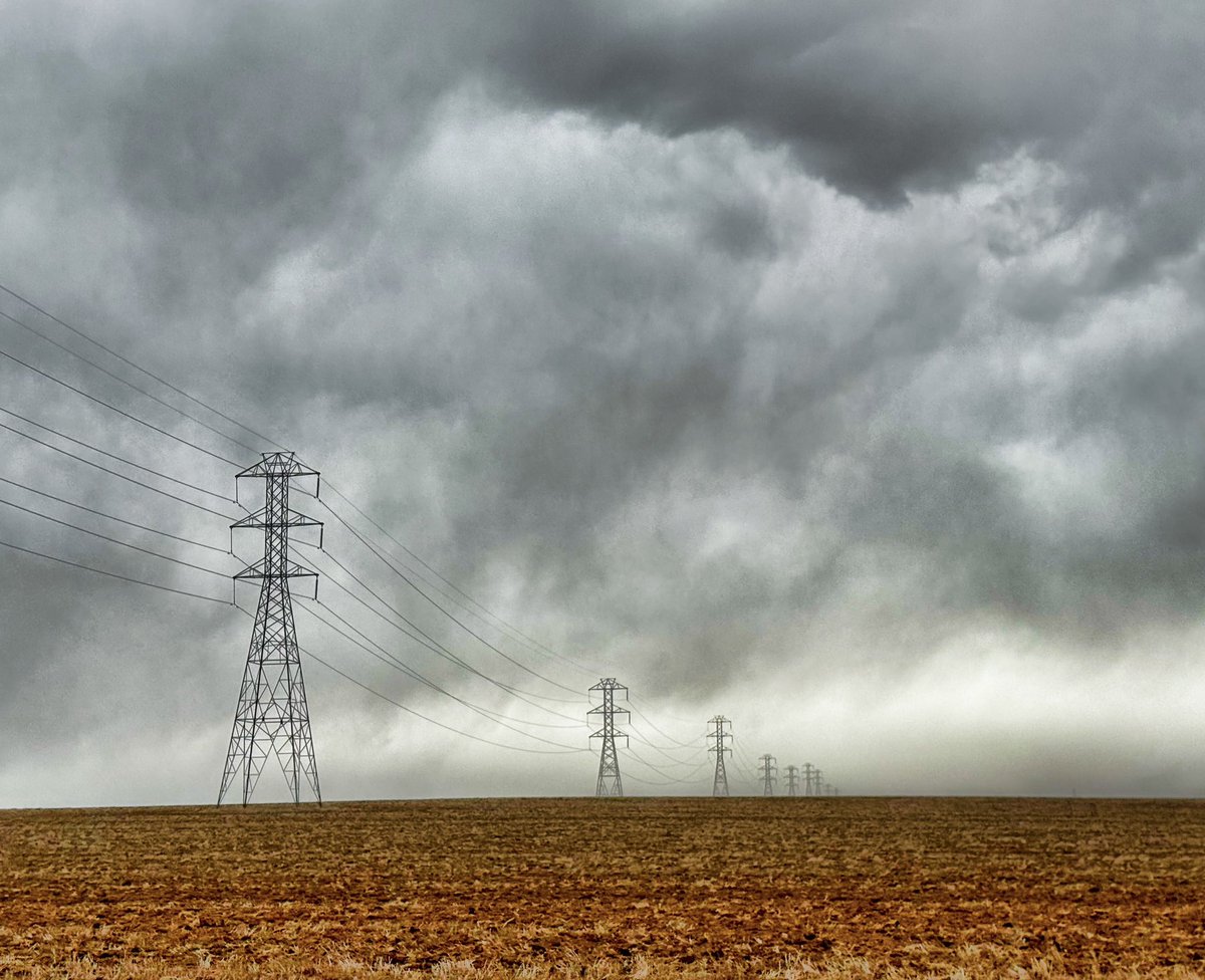 D Miller tweet media