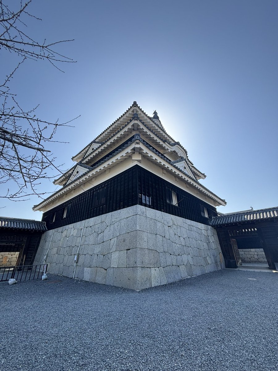 こちらお気に入りの写真😊

 #松山城