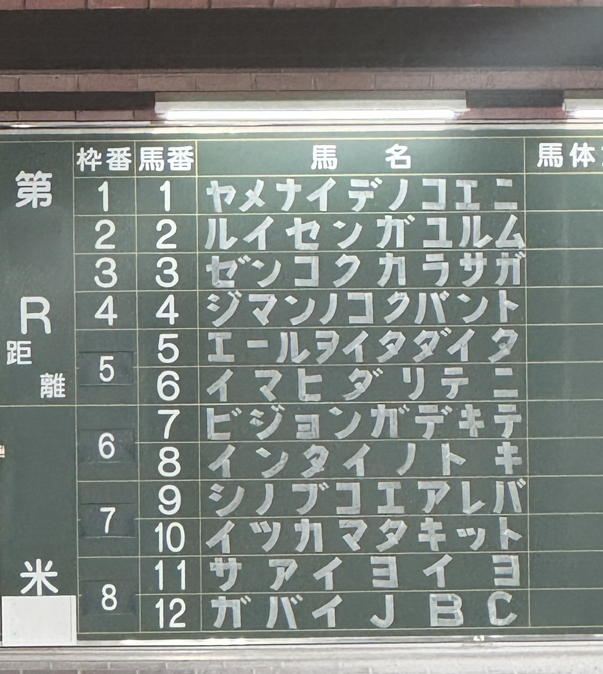 さがけいば（佐賀競馬場） on X: 