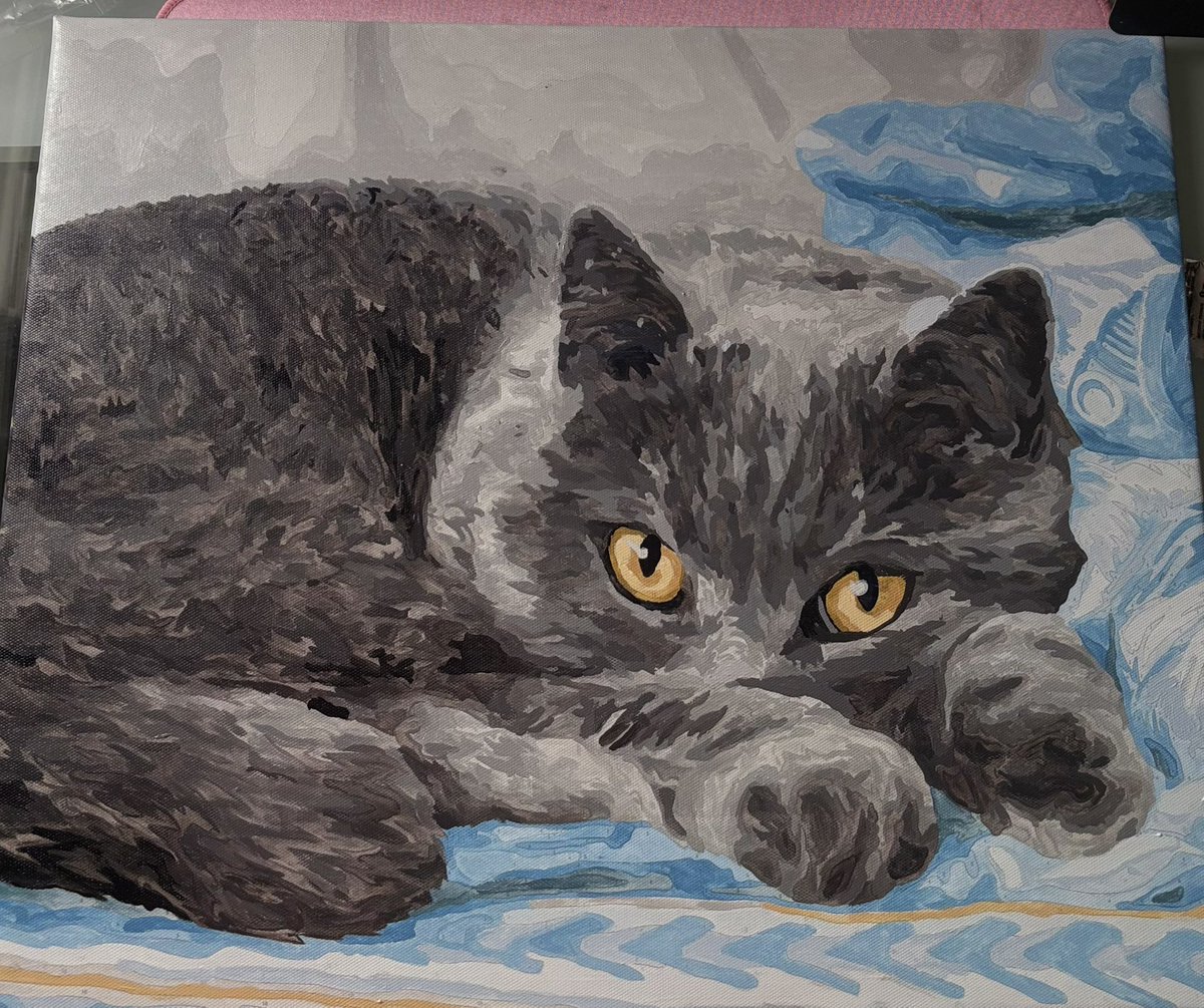 Теперь у меня есть картина с изображением моего кота