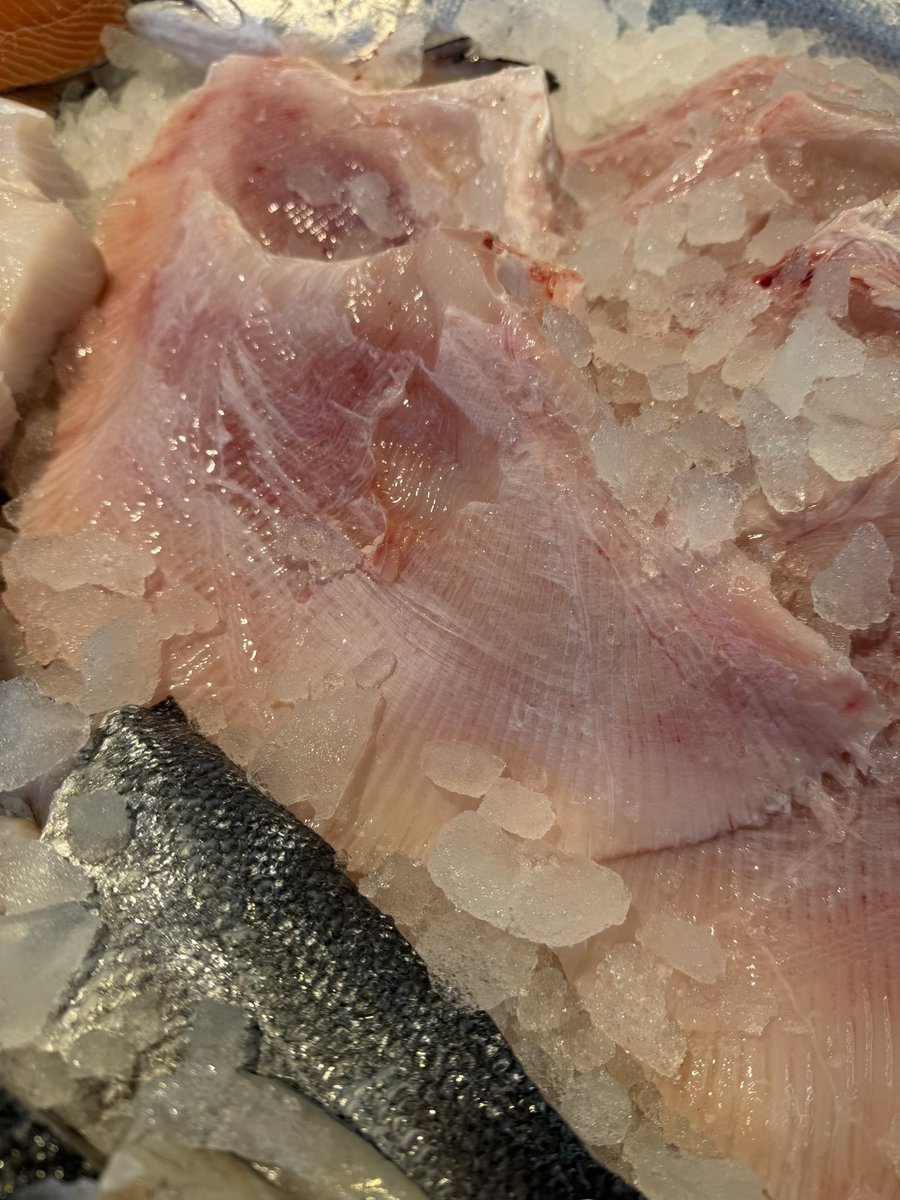 The Easy Fish Co. tweet media