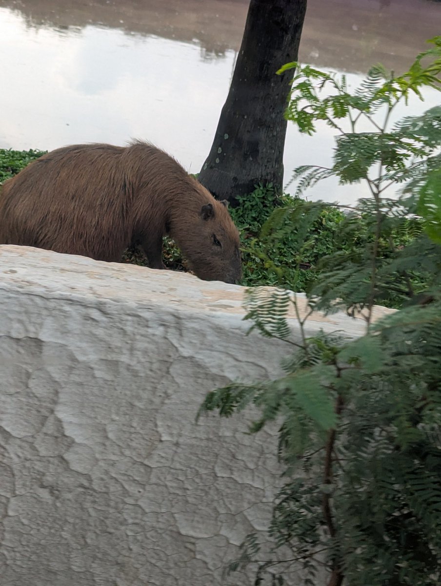 Man Sant ✈️ Calling Shanghai tweet media