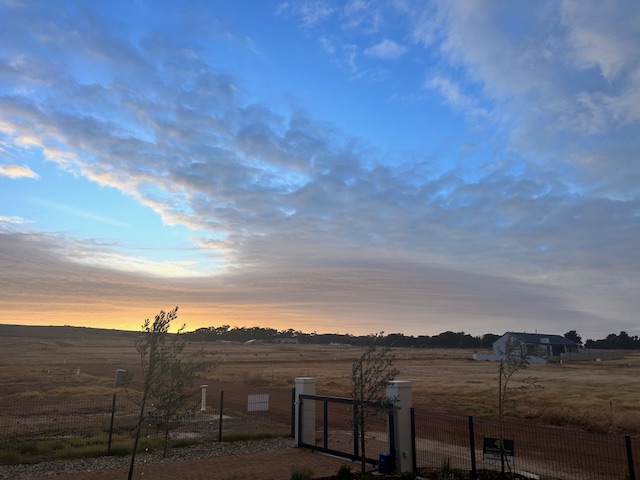 I 💛 Darling Newsletter - mailchi.mp/491789527181/i…

Click on Facebook Page Newsletter tab to subscribe to this weekly newsletter.

PHOTO:  Leon Ahlers