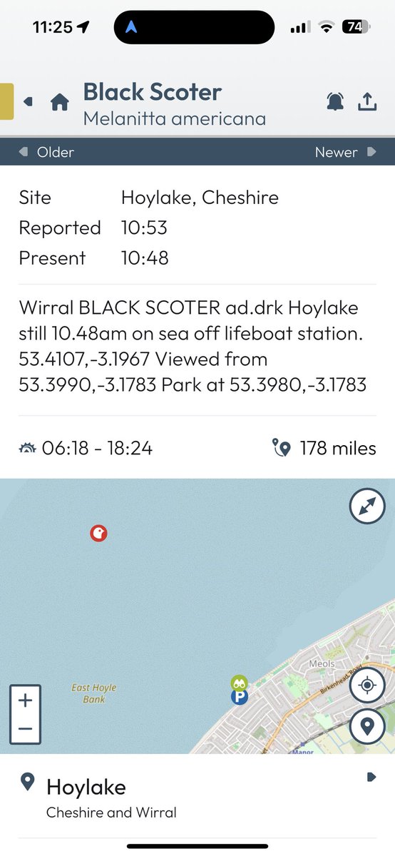 RareBirdAlertUK's tweet image. Our totally updated birdnews app has maps, giving you locations of birds but also where to park and where to view from, and one-tap driving directions too! 

See more this spring - Try it now completely FREE FOR 30 DAYS.

Sign up takes a few seconds. rarebirdalert.co.uk/RealData/bird_…