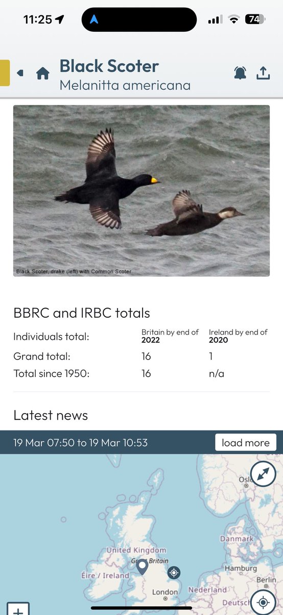 RareBirdAlertUK's tweet image. Our totally updated birdnews app has maps, giving you locations of birds but also where to park and where to view from, and one-tap driving directions too! 

See more this spring - Try it now completely FREE FOR 30 DAYS.

Sign up takes a few seconds. rarebirdalert.co.uk/RealData/bird_…