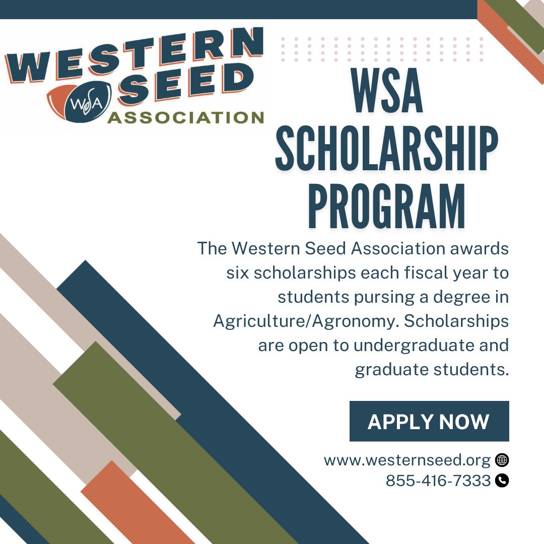 ATTENTION! The Western Seed Association Scholarship application is now open. 
The deadline to apply is April 1, 2025!
Click the link to apply, loom.ly/bRqZDUg