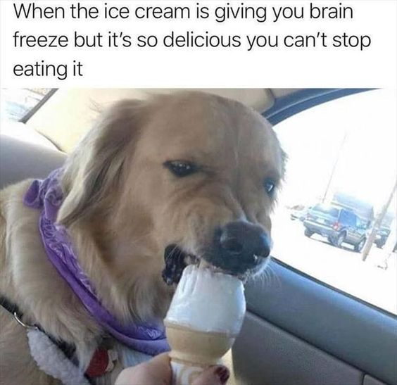 WholesomeMeme's tweet photo. https://t.co/R64ksiCEse
