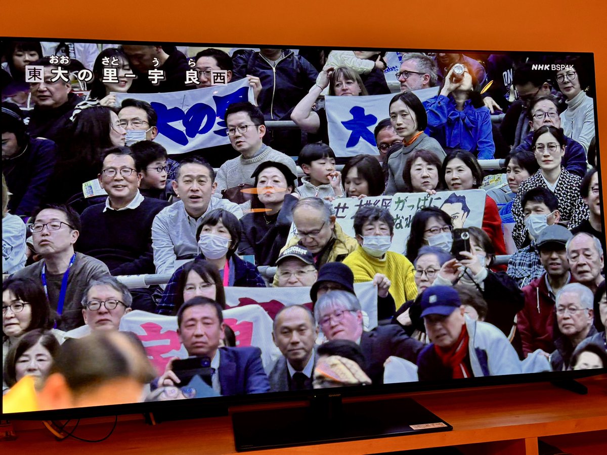 Shirokuma_fufu tweet media