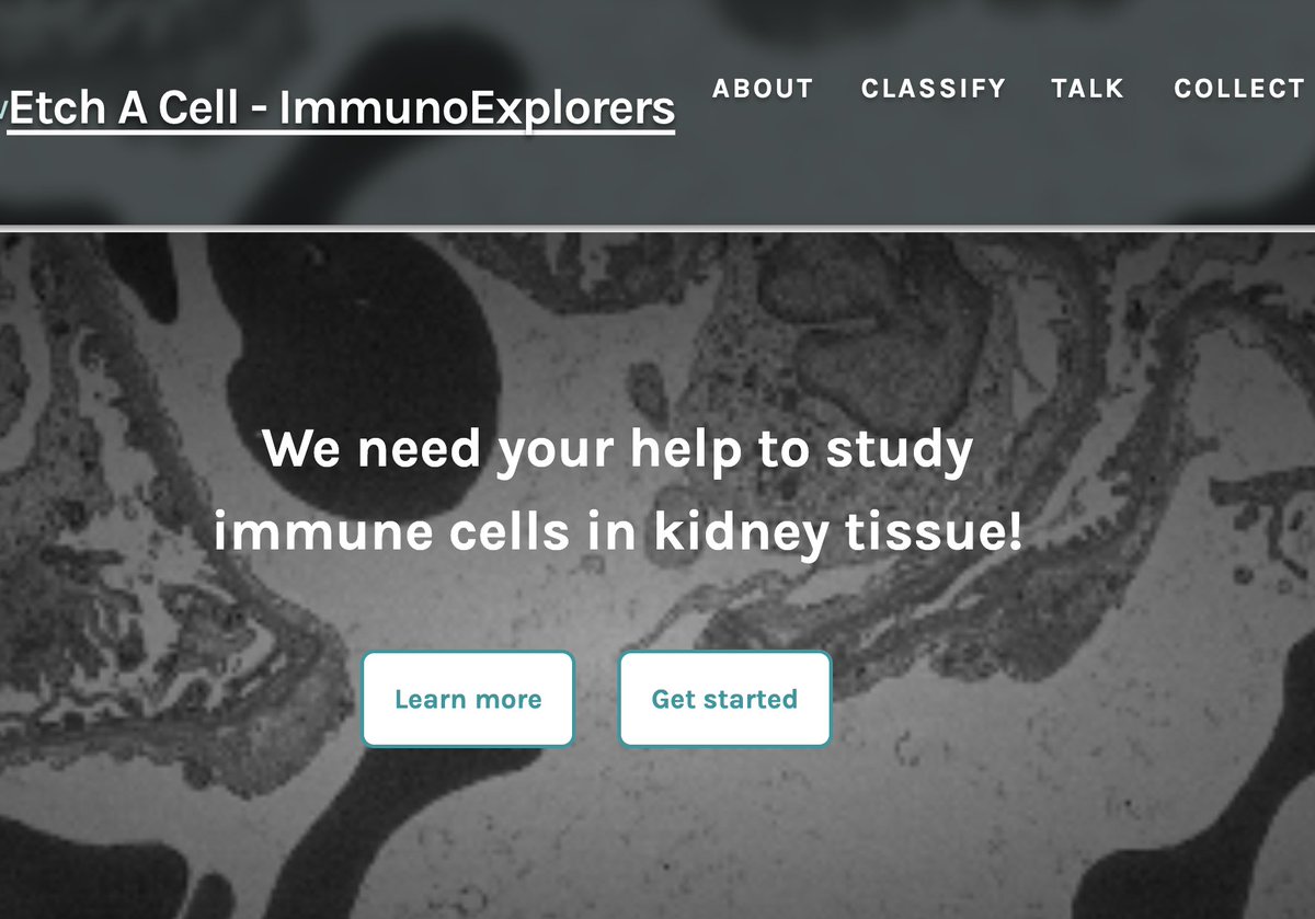 Etch a cell tweet media