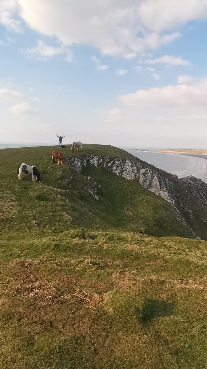 goodempireuk's tweet photo. One more from Rhossili Bay!
This photo was taken minutes before the white horse decided to have a face off with Nick.
Horse 1 - Nick 0.
🐴
#domoregood #GoodEmpireUK #crypto #charity #goodcauses #homeschooling #homeonwheels #roadtrip #community #homeschooling #mindfulness #homeschool #homeschoollife #sustainability #charity #altcoins #altcoin #vanlife #vanlifediaries #campervan #vanrenovations