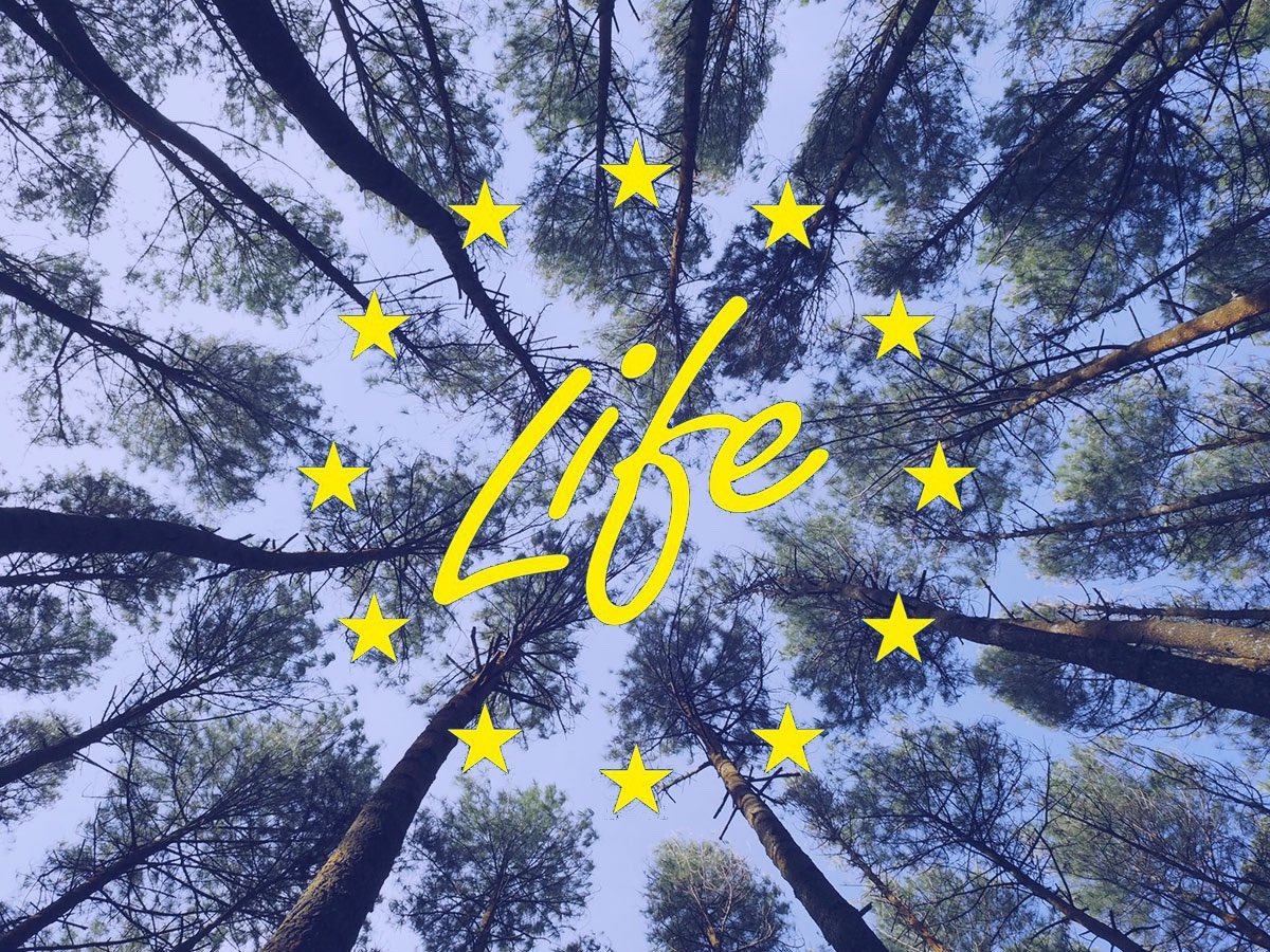 Angelo Salsi (@angelosalsi1) on Twitter photo The 32 years old <a href="/LIFEprogramme/">LIFE Programme</a> helped the EU protect its best natural secrets and enabled thousands of companies to develop innovative solutions. The “People’s program”, as it was once called, for its capacity to support local initiatives. Will this EU success story continue? The 32 years old <a href="/LIFEprogramme/">LIFE Programme</a> helped the EU protect its best natural secrets and enabled thousands of companies to develop innovative solutions. The “People’s program”, as it was once called, for its capacity to support local initiatives. Will this EU success story continue?