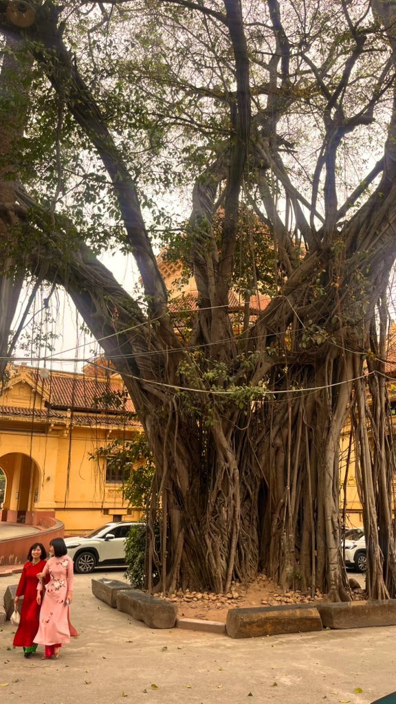 - Ministry of Swedish Oaks 🇸🇪 - tweet media