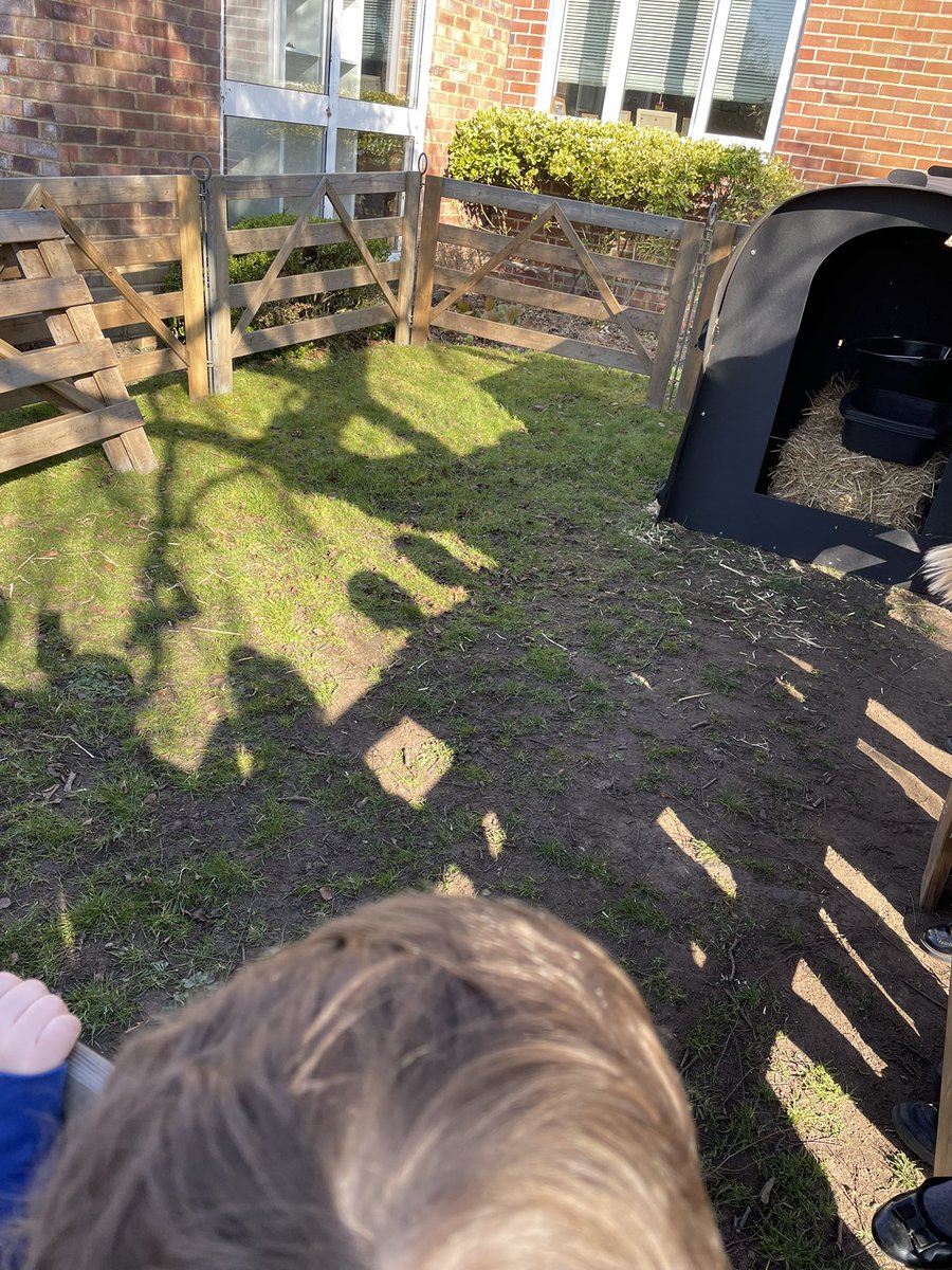 An exciting start to the day at Nayland Primary School. Why has this small enclosure arrived on the school grounds? Watch this space to find out!
