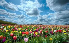 finefettlefeed's tweet photo. Spring starts tomorrow, hooray, thanks nature!!!

Read on if you'd like to know more about the spring equinox in the UK -

'On this day, most places on Earth will experience nearly equal amounts of daylight and darkness.'......

https://t.co/UBKzKWsaEz https://t.co/7lgf7YbHsO