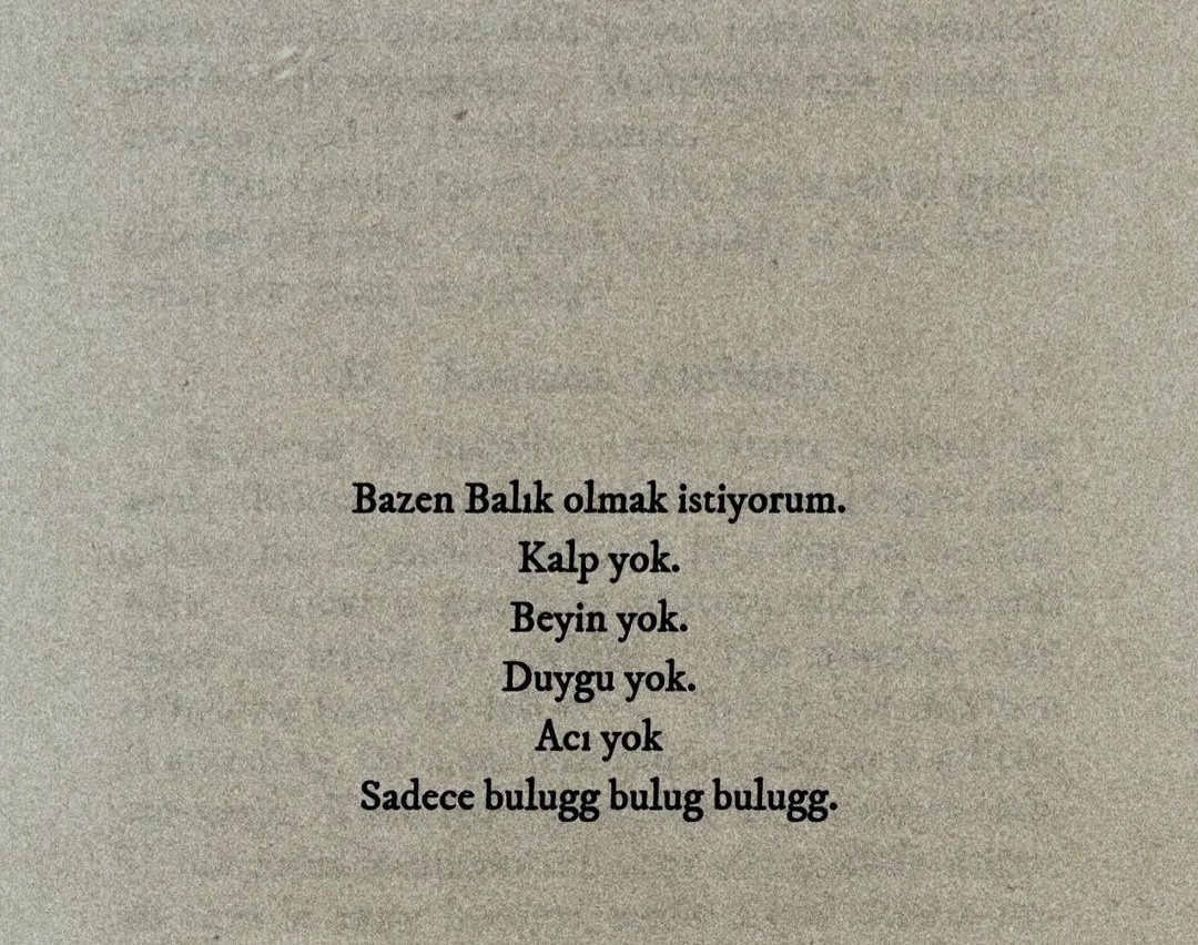 burcuitem (@burcuitem) on Twitter photo 