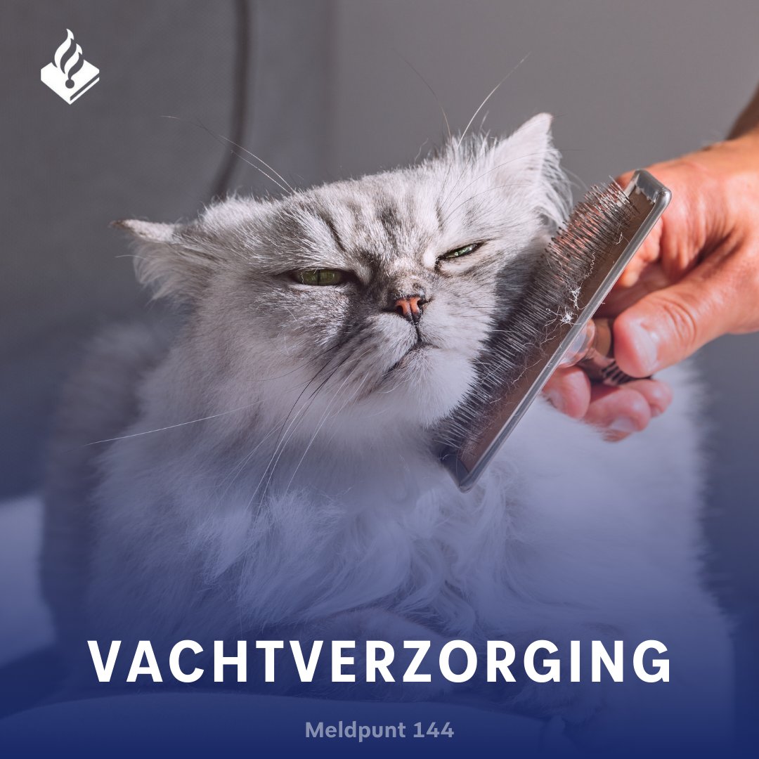 Gezonde vacht; blij dier! 🐩

We ontvangen nog vaak meldingen waarbij de vacht van het dier verwaarloosd is (o.a. vervilting / parasieten). 

➡️ Controleer de vacht van je dier preventief. 
➡️ Bied de nodige zorg
➡️ Schakel hulp in

Wordt de zorg onthouden? ☎️144