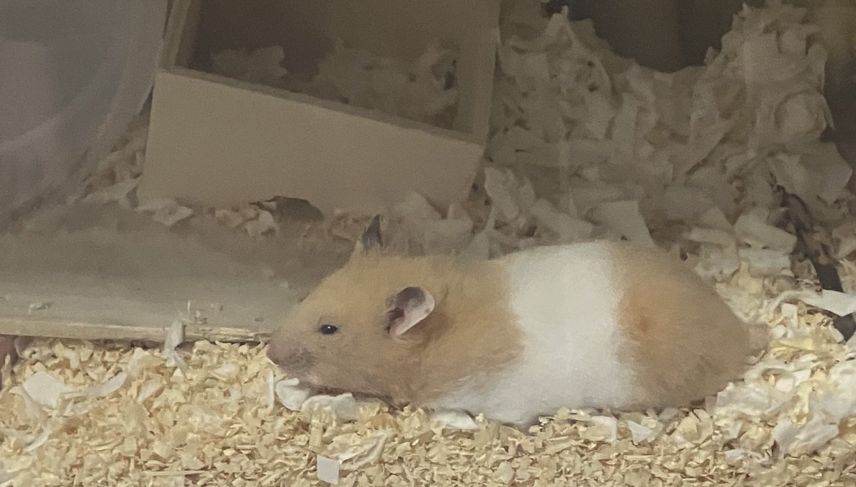 なんでそこで寝てるの〜かわいいね♡