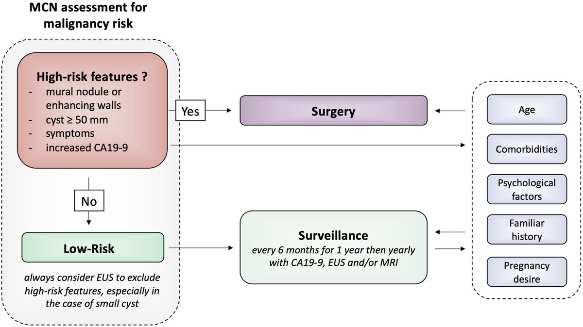 Are we reducing the 🏋️‍♀️ burden of pancreas cancer by surveilling mucinous cystic neoplasms?! 🫧

🧐 Maybe we are not there yet ... 

And... Do you apply different policies for IPMN and MCN!? 🍇

Enjoy a 🆓 dowload at this link (expires in 30 days!)

authors.elsevier.com/a/1kn5Y5P-Xyhy…