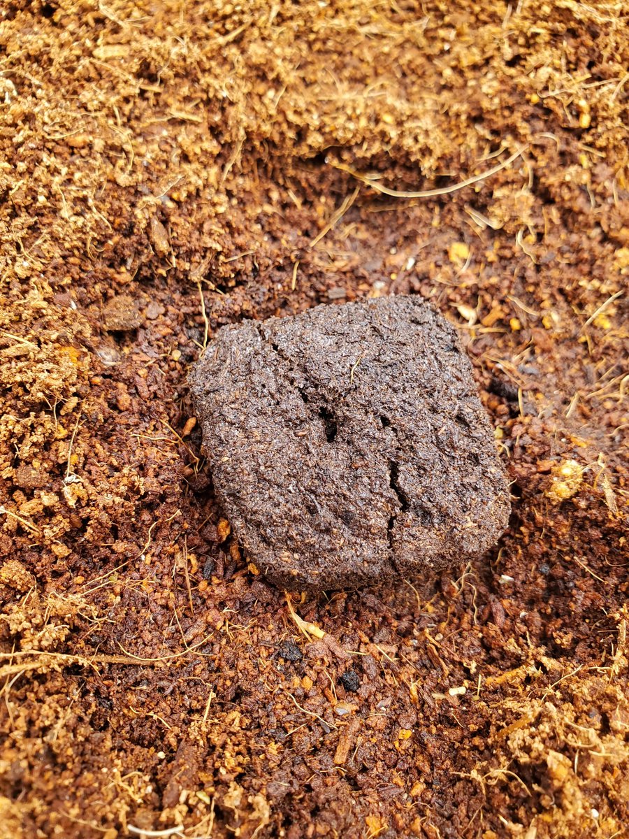 Medical Grower 420 🇺🇸 tweet media