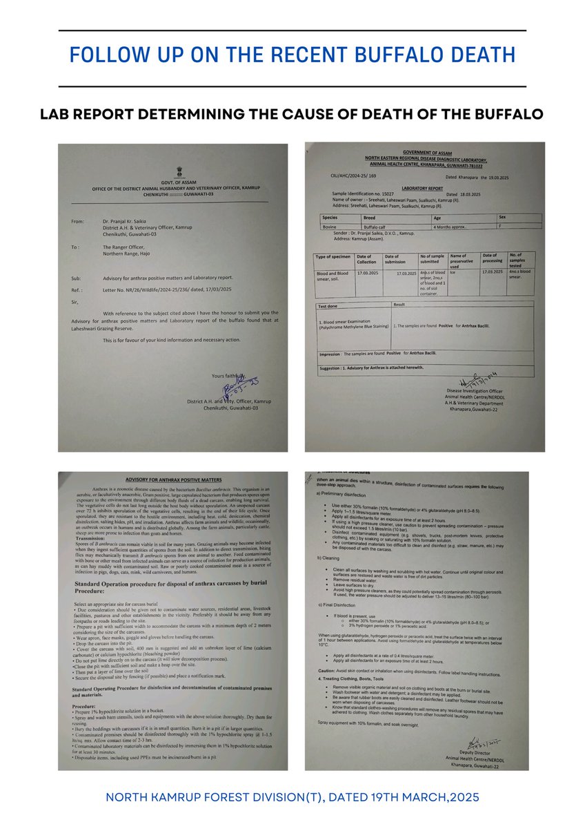 The latest lab report from <a href="/Dept_of_AHD/">Dept of Animal Husbandry & Dairying, Min of FAH&D</a> states clearly that the cause of death of the buffalo is anthrax &amp; not poisioning. 
<a href="/himantabiswa/">Himanta Biswa Sarma</a> <a href="/cmpatowary/">Chandra Mohan Patowary</a>