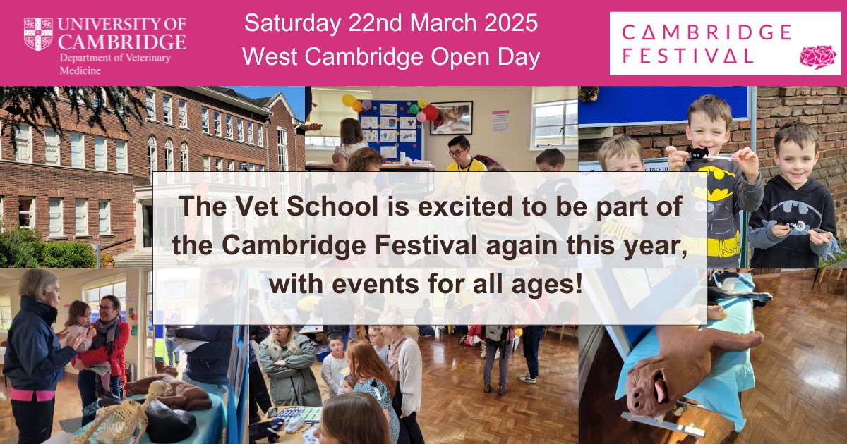 Cambridge Vet School (@camvetschool) on Twitter photo 📢 This Saturday, 22nd March - The <a href="/CamVetSchool/">Cambridge Vet School</a> is taking part in the West Cambridge Open Day <a href="/Cambridge_Fest/">Cambridge Festival</a>
Doors open at 10am with hands-on activities and a talk at 1pm🐰
Fun for all the family no tickets needed - all welcome! 🐾
Read more 👇🏽
vet.cam.ac.uk/research/cambr… 📢 This Saturday, 22nd March - The <a href="/CamVetSchool/">Cambridge Vet School</a> is taking part in the West Cambridge Open Day <a href="/Cambridge_Fest/">Cambridge Festival</a>
Doors open at 10am with hands-on activities and a talk at 1pm🐰
Fun for all the family no tickets needed - all welcome! 🐾
Read more 👇🏽
vet.cam.ac.uk/research/cambr…