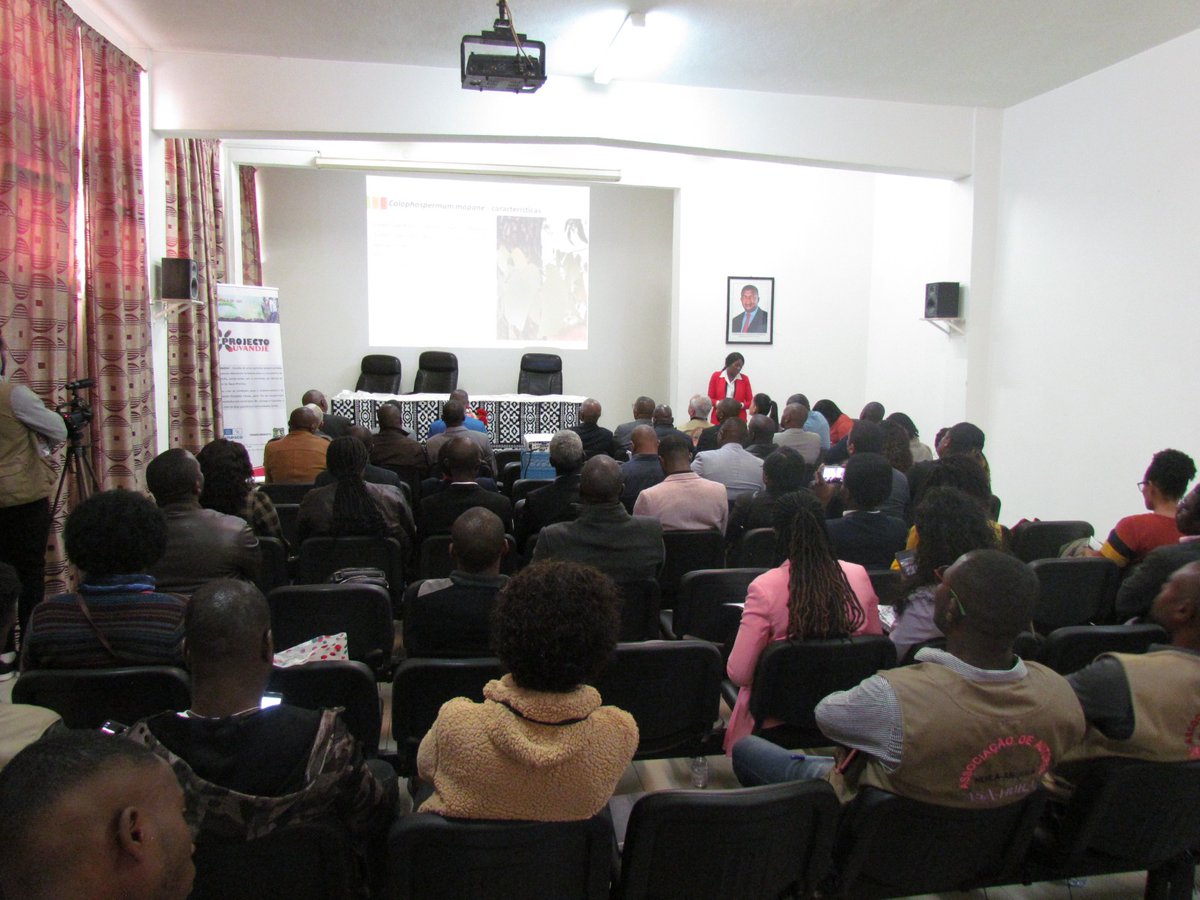 PlantDay18May's tweet image. Success Stories: Angola

On June 4th, the Uvandje project was launched. The project is an initiative of the University Mandume Ya Ndemufayo, in short collaboration with the environmental node of ASA-Huíla, an NGO based in Lubnago, Huíla province.

#FoPD #PlantDay