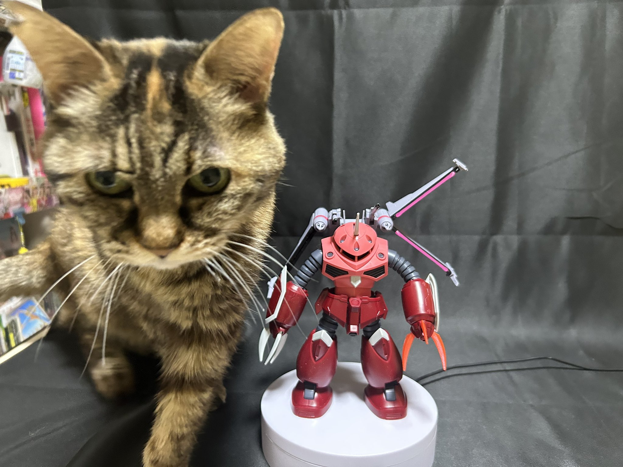 今日の倖ちゃん - Search / X