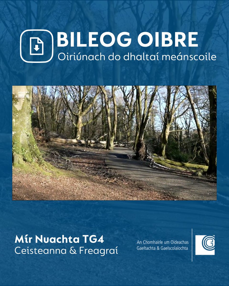 FoghlaimTG4's tweet photo. Cad a dhéanfá an tseachtain i ndiaidh Sheactain na Gaeilge ach cúrsaí Gaeilge a phlé níos mó? ☘️

Cabhróidh ár gcuid míreanna nuachta libh é sin a dhéanamh 📰📰📰

#gaeilge #irishlanguage #irishlanguagelearners #irishteacher #múinteoir https://t.co/Fl1C3F0HQQ