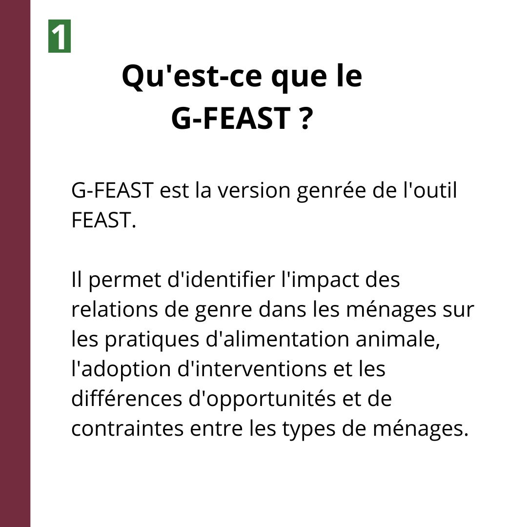LMP_Madagascar's tweet photo. Le G-FEAST: un outil innovant qui permet d'évaluer les ressources alimentaires pour le bétail tout en intégrant des considérations de genre. 🌱🐄

#GFEAST #Innovation #AlimentationBétail #ÉlevageDurable #GenreEtAgriculture https://t.co/xIs0jJyBi8