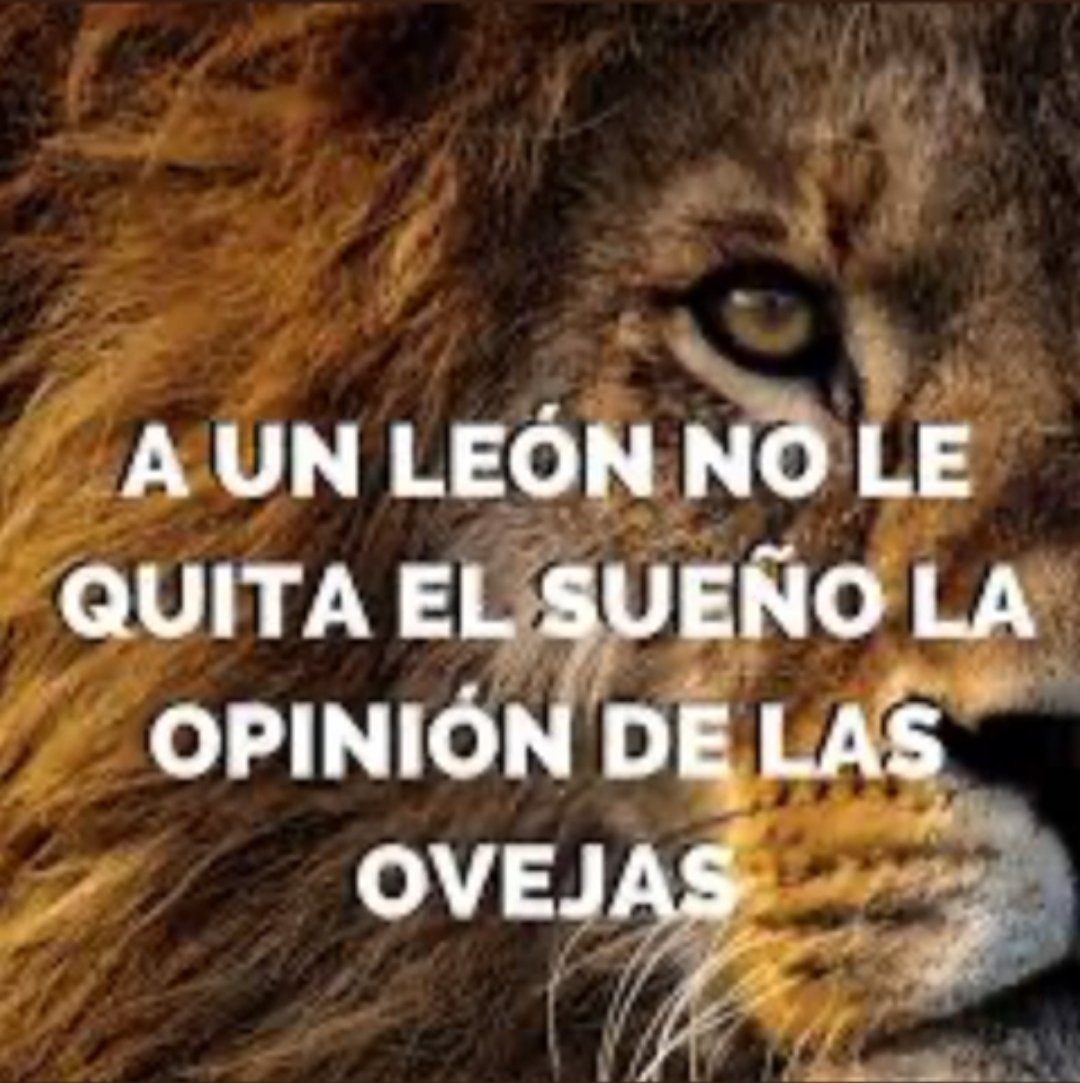 LauraHorMar's tweet photo. https://t.co/e1Z97SG6KE