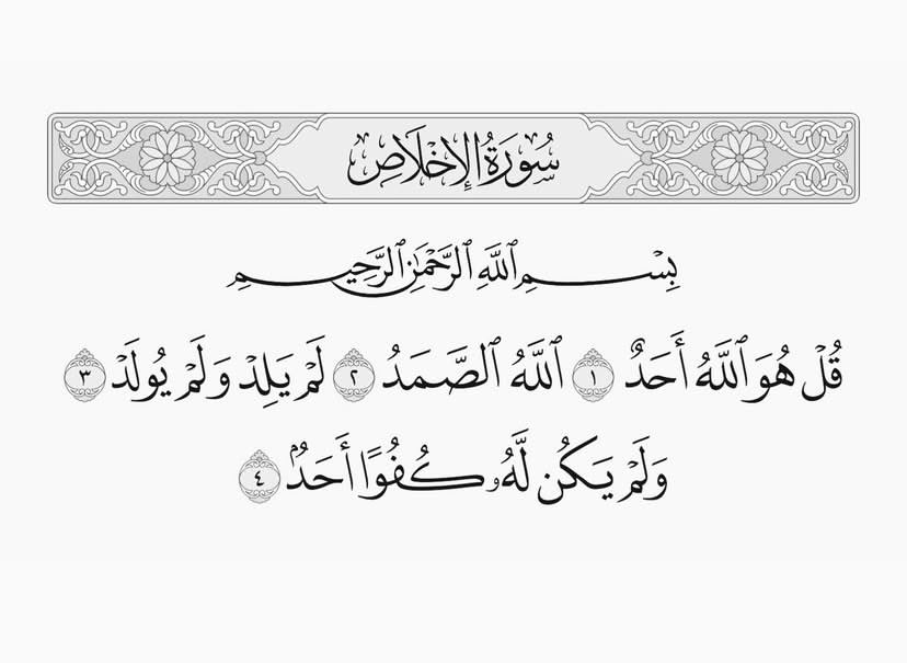 غالية المطيري🌐 tweet media
