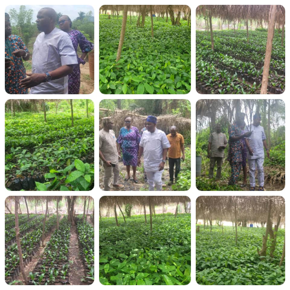 EKITI STATE GOVERNMENT REMAINS COMMITTED TO AGRICULTURAL DEVELOPMENT

In a significant move to advance the agricultural sector in Ekiti State, the Permanent Secretary of the Ministry of Agriculture, alongside the Director of Tree Crops, the Director of Procurement, and the