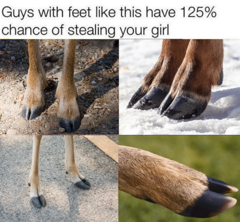 deertexting's tweet photo. https://t.co/FjZRkaBffS
