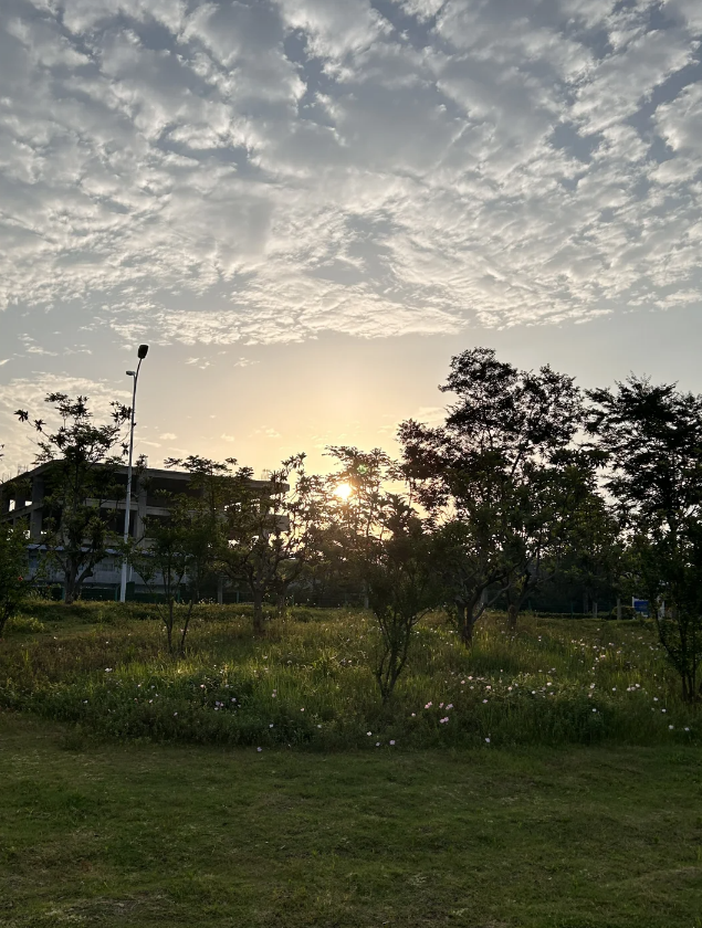 おはようございます
美しい日常をあなたに送ります、明日の笑顔が太陽のように輝くことを祈ります😊