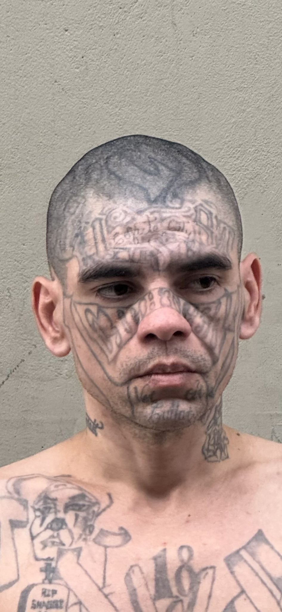 Gm_2PXtWkAAI0vP