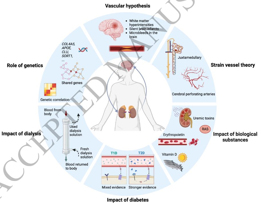 The Science of Parkinson's tweet media