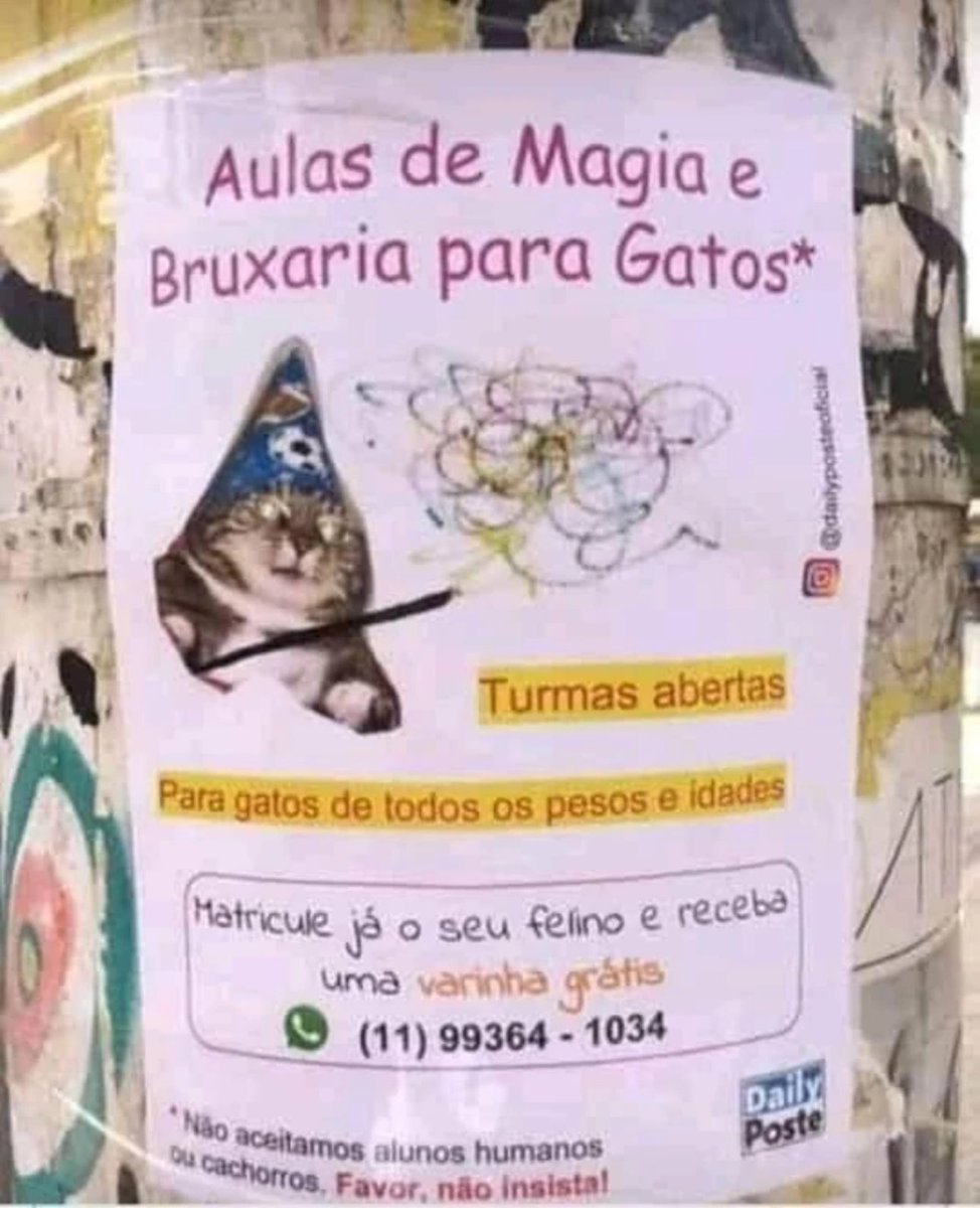 shitpostverdade's tweet photo. https://t.co/rPdNBa1en8