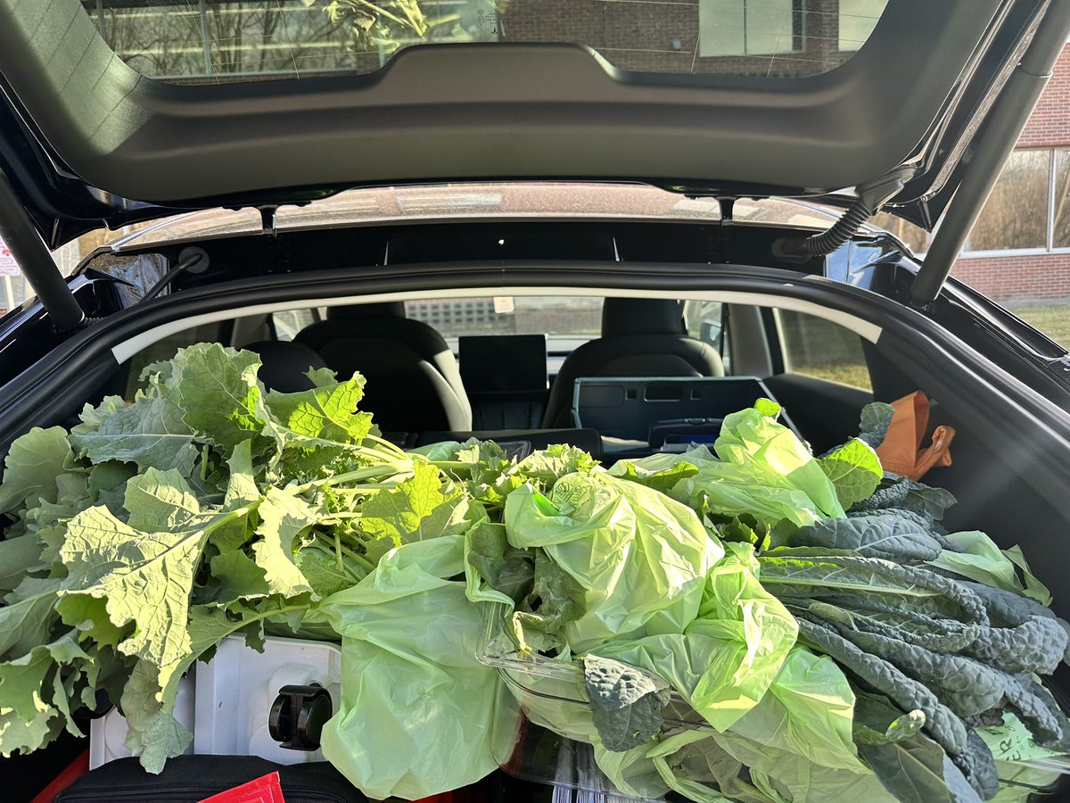 Just dropped off a big leafy love bundle at Mt. Kisco Interfaith Food Pantry! 

Huge shoutout to Riya, Andrew, Olivia &amp; Maya for harvesting kale, lettuces &amp; greens galore! 

And a bonus: greeted by two amazing Greeley stars: Sammy &amp; Ryan, volunteering with ❤️

#WeAreChappaqua
