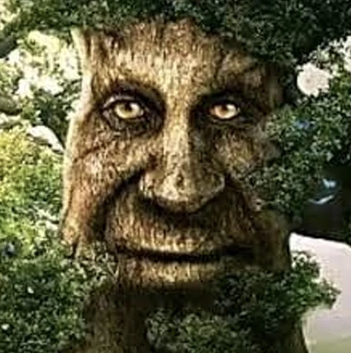 TreeThe3293 tweet picture