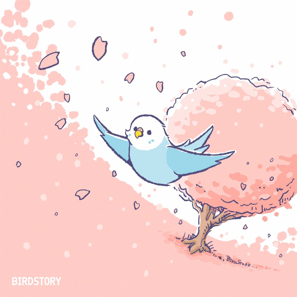 Birdstory_pic's tweet image. おはようございます。
本日は3月27日。
さくらの日とのことです🌸
#BIRDSTORY 
#さくらの日 #セキセイインコ