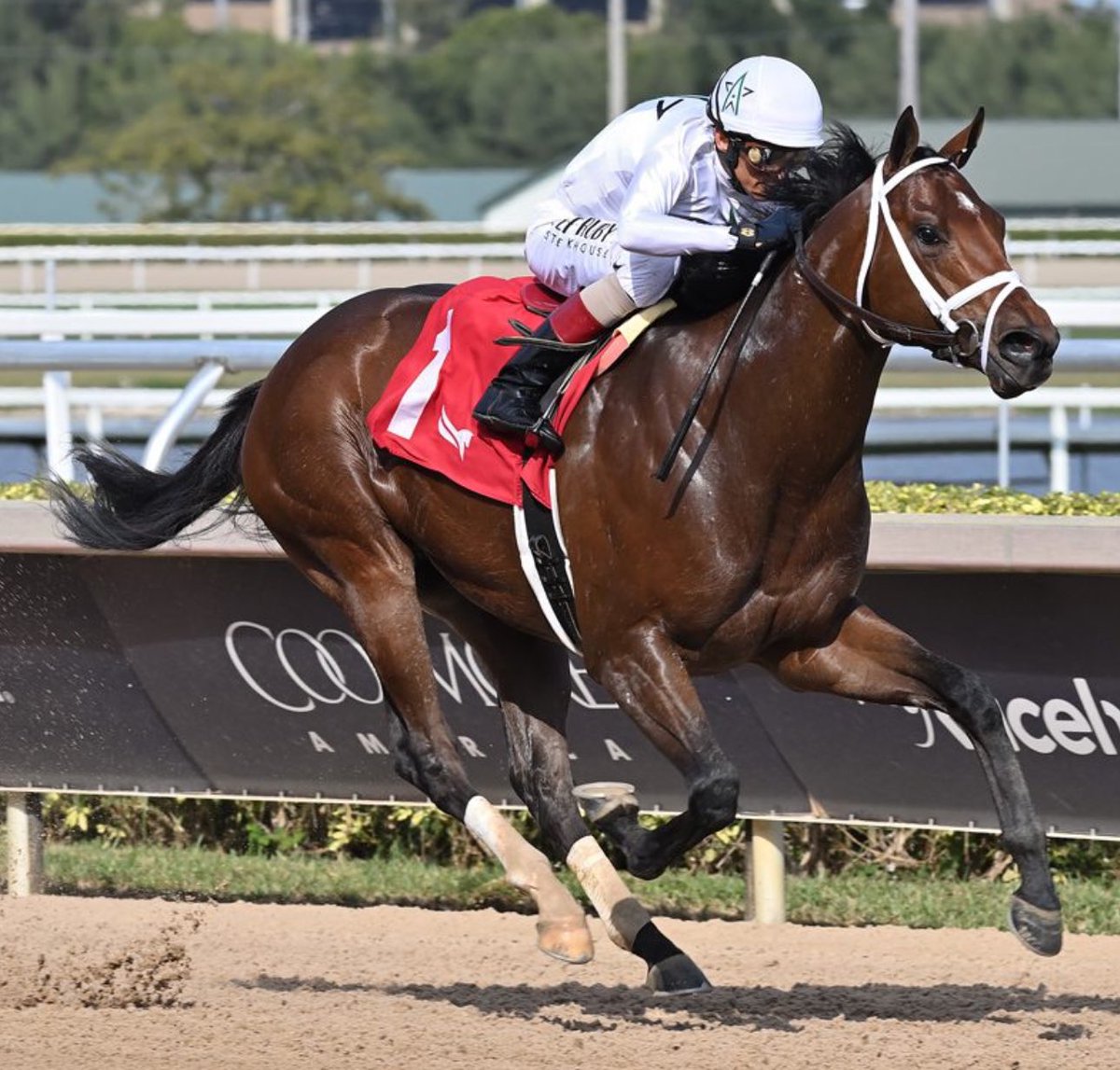 🏇RIVER THAMES…!!!
<a href="/PletcherRacing/">Todd Pletcher Racing Stables</a> confirmó que el prospecto 3a. correrá el <a href="/Toyota/">Toyota USA</a> Blue Grass Stakes G1 el sábado 05 de abril en <a href="/keenelandracing/">Keeneland Racing</a> 
El castaño del <a href="/WinStarFarm/">WinStar Farm</a> @ <a href="/Chinahorseclub/">China Horse Club</a> tiene de 3-2 y viene de llegar 2° en el Fountain Of Youth Stakes en <a href="/GulfstreamPark/">Gulfstream Park</a>