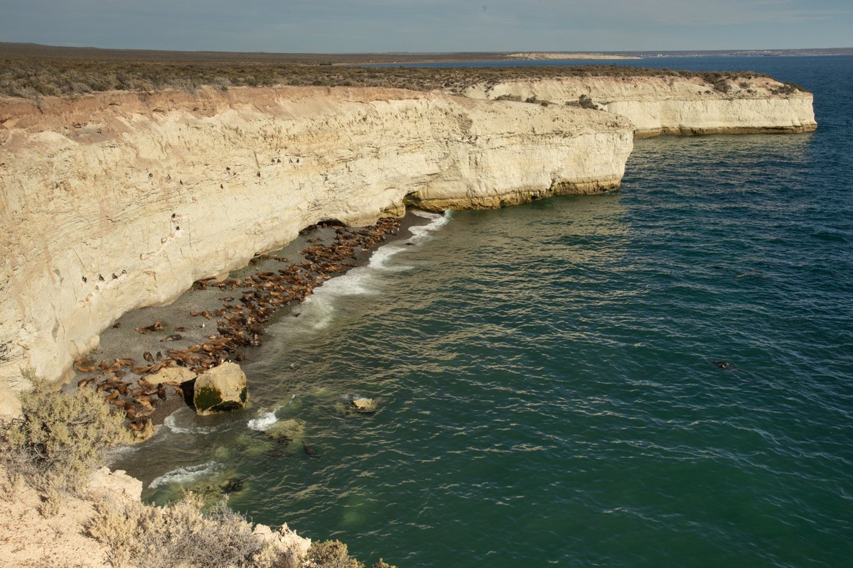 NoticiasPMY (@noticiaspmy) on Twitter photo #PuertoMadryn #Turismo #Reserva #Lobería
Desde abril se restablece el cobro de ingreso a Punta Loma
Lo informó el <a href="/MinTuryAP/">Ministerio de Turismo y Áreas Protegidas Chubut</a>
<a href="/cecipavia/">Ceci Pavia</a> <a href="/madryntravel/">Puerto Madryn</a> <a href="/diegolapennach/">Diego Lapenna</a> <a href="/aavytpv/">Aavytpv</a>
noticiaspmy.com/desde-abril-se… #PuertoMadryn #Turismo #Reserva #Lobería
Desde abril se restablece el cobro de ingreso a Punta Loma
Lo informó el <a href="/MinTuryAP/">Ministerio de Turismo y Áreas Protegidas Chubut</a>
<a href="/cecipavia/">Ceci Pavia</a> <a href="/madryntravel/">Puerto Madryn</a> <a href="/diegolapennach/">Diego Lapenna</a> <a href="/aavytpv/">Aavytpv</a>
noticiaspmy.com/desde-abril-se…