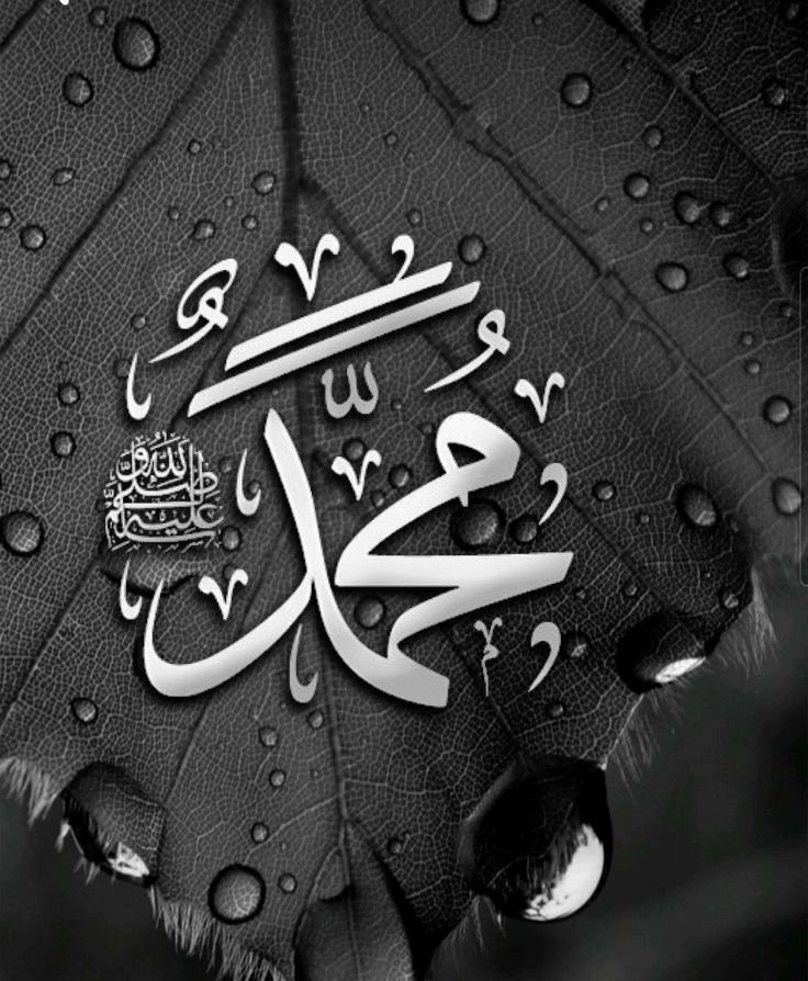 إن لله نفحات رحمه تصيب المكثرين من الصلاة على النبى ﷺ🖤🖤