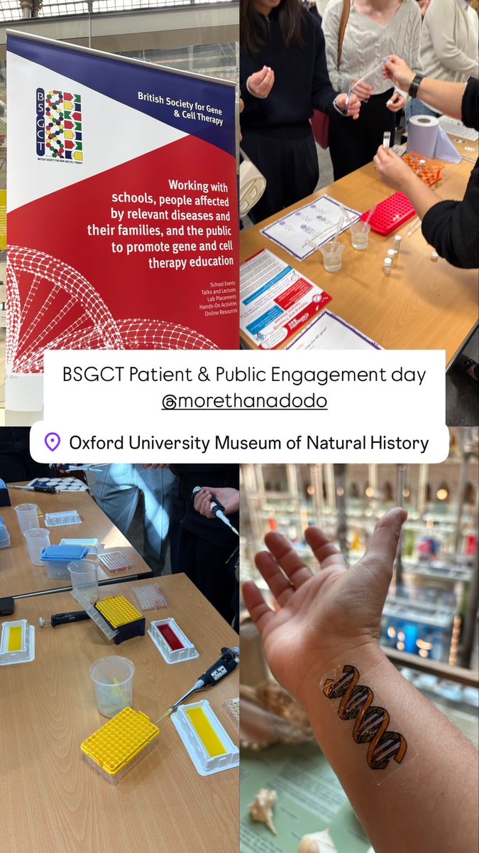 Adriana Albuquerque (@adrialb) on Twitter photo Many thanks to the <a href="/_BSGCT/">BSGCT</a> for inviting me to give a talk and participate at the Patient and Public Engagement Day at the spectacular <a href="/morethanadodo/">Oxford University Museum of Natural History</a> . Had so much fun with the students and hope to have inspired the next generation of scientists! #primaryimmunodeficiencies Many thanks to the <a href="/_BSGCT/">BSGCT</a> for inviting me to give a talk and participate at the Patient and Public Engagement Day at the spectacular <a href="/morethanadodo/">Oxford University Museum of Natural History</a> . Had so much fun with the students and hope to have inspired the next generation of scientists! #primaryimmunodeficiencies