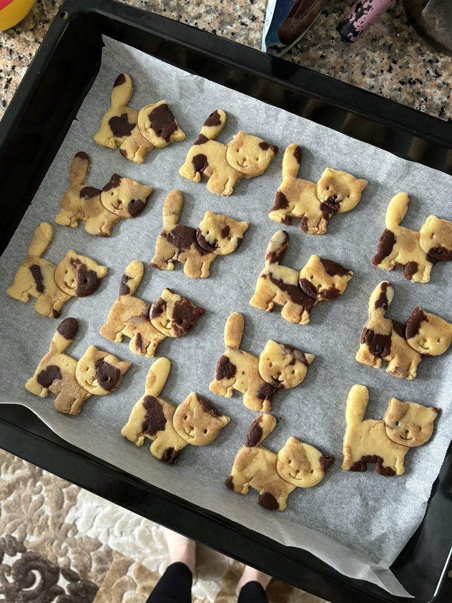 calico cat cookies