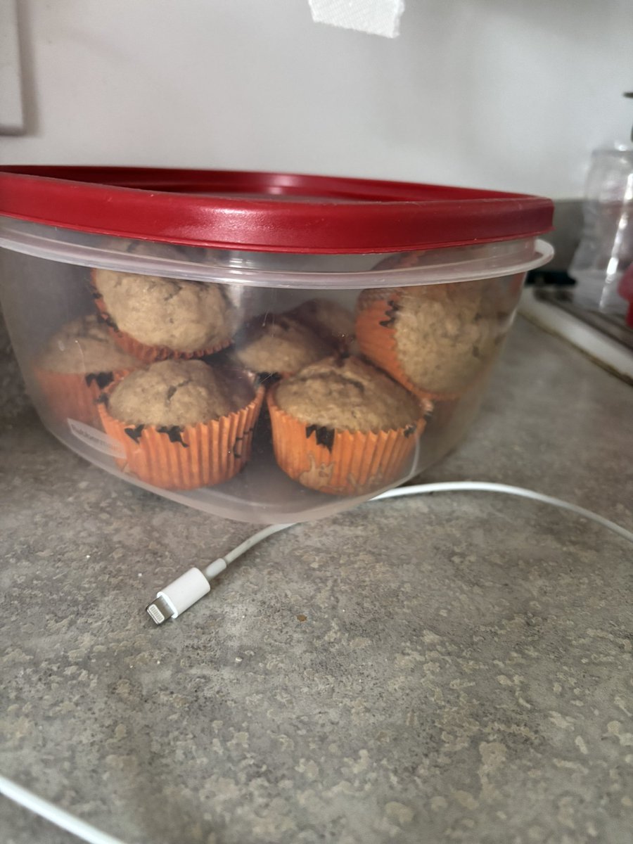 dadchefswife's tweet photo. guys!!!! i made homemade pizza &amp; banana cinnamon muffins for the kids #momchef https://t.co/GmNcUCYd53