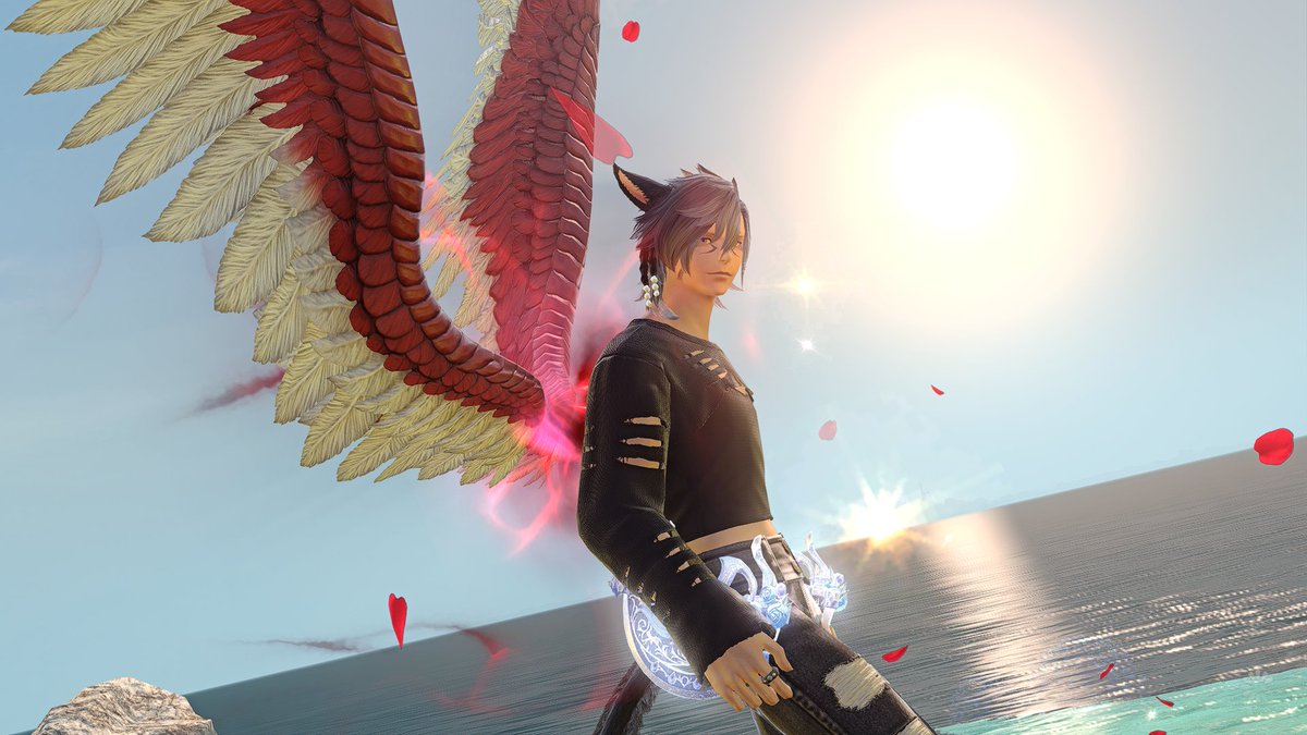 Unit_Meow's tweet image. 🪽