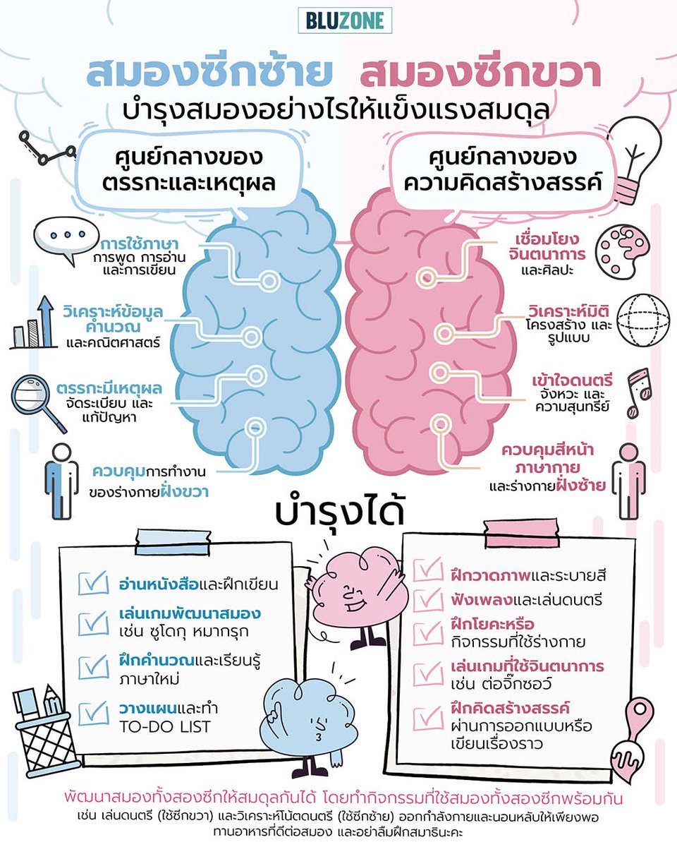 lok_thrrma's tweet image. 🧠 สมองซีกซ้าย vs สมองซีกขวา บำรุงสมองอย่างไรให้แข็งแรงสมดุล 🧠

“สมอง” ของเราถูกแบ่งออกเป็นสองซีก ซึ่งแต่ละซีกมีหน้าที่และความเชี่ยวชาญที่แตกต่างกัน การเข้าใจการทำงานของสมองซีกซ้ายและสมองซีกขวาจะช่วยให้เราสามารถพัฒนาทักษะต่างๆ ได้ดีขึ้น