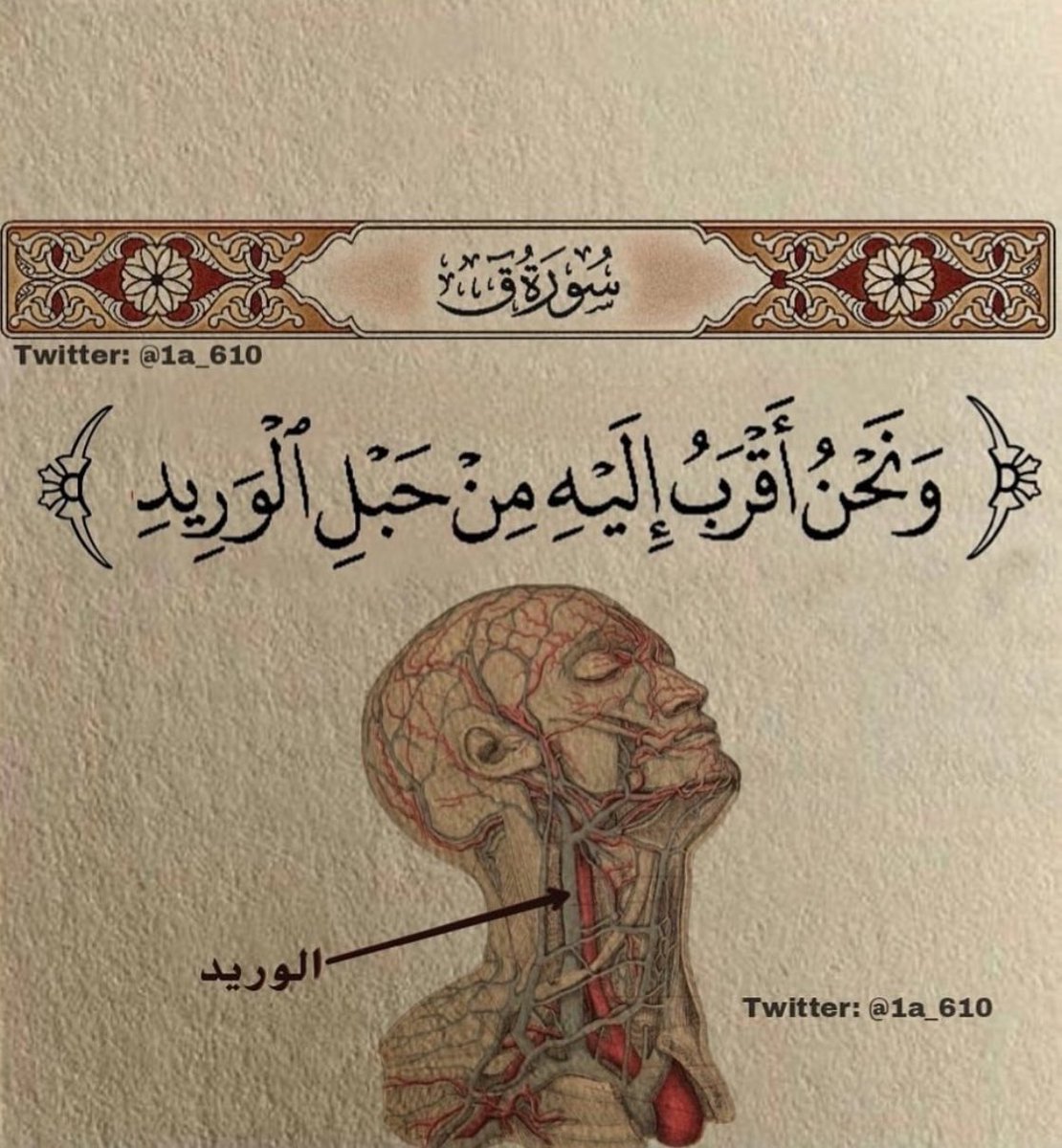 ax1ii's tweet photo. عبثاً تستثقل عناء القرب من الله بعيداً عنك وهو قريب منك، تهرب لمن ؟ وهو ملاذ الهاربين وعن أي أمان تبحث ؟ وهو أمان الخائفين وعن أي جبر لقلبك تبحث؟ وهو جابر المنكسرين أي رزق تبحث عنه؟ وهو الغني المغني الرازق الواهب الكريم

أعبثاً تبحث بعيداً عنك ونسيت أنه أقرب إليك من حبل الوريد ؟ https://t.co/rvbpAONdmJ