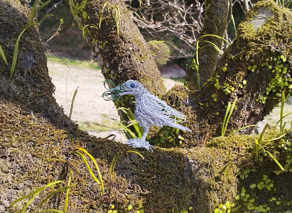 whitecolorcrow's tweet image. おはようございます！🍀🕊
#針金アート #wireart